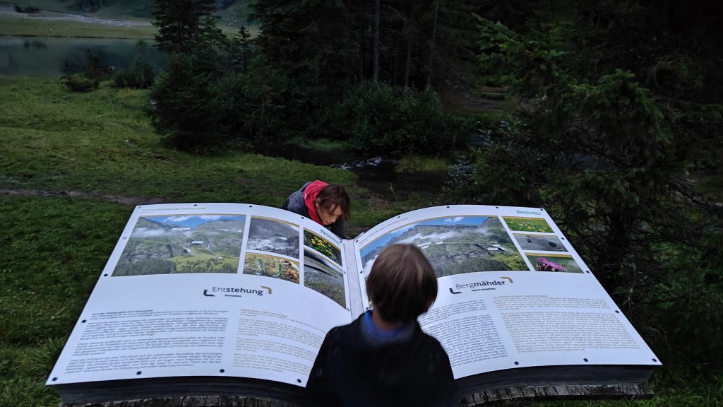 Reading a book in Mittersill Austria