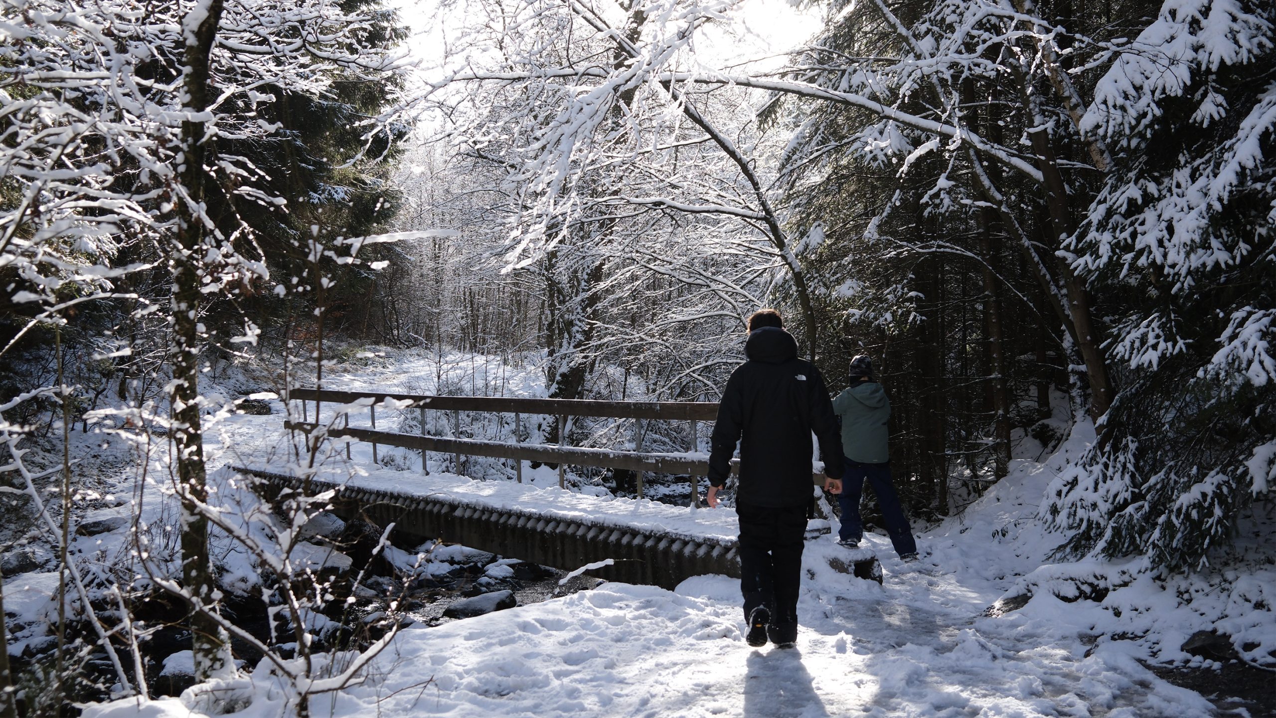 Wandelen in Waimes - header